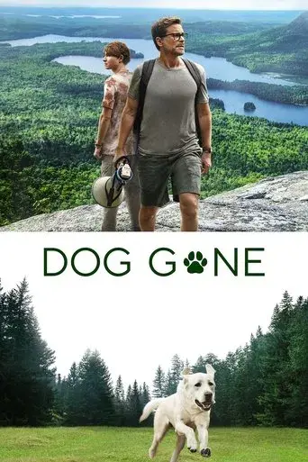 Perro perdido poster