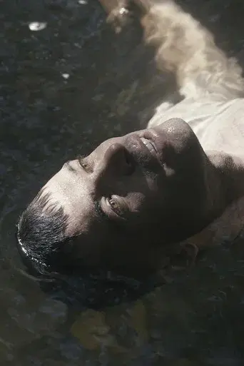 The Lake - Poster