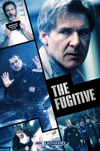 El fugitivo - Poster