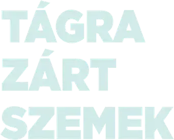 Eyes Wide Shut - Logo