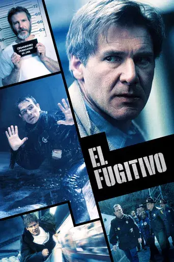 El fugitivo - Poster