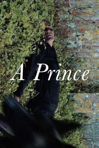 Un prince poster