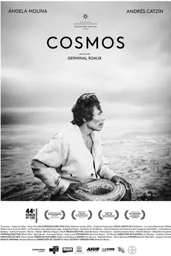 Cosmos - Poster