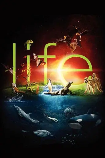 Life poster