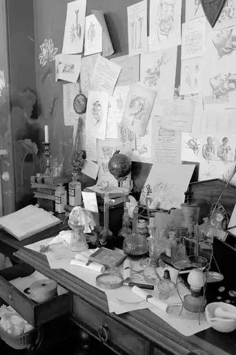 The Artful Dodger - Poster