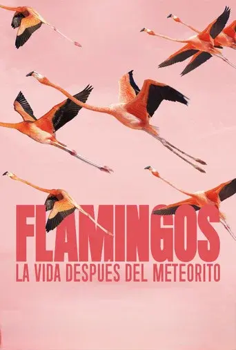 Flamingos: La vida después del meteorito - Poster
