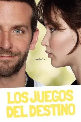 El lado bueno de las cosas - Poster