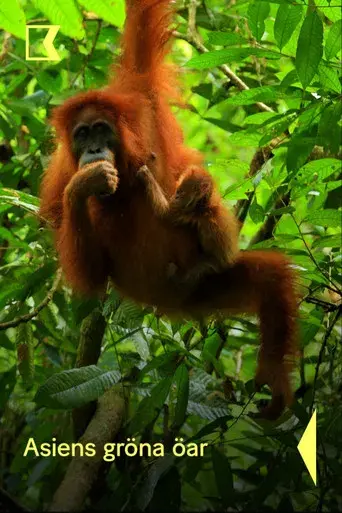 Islands in Time: A Wildlife Odyssey - Poster