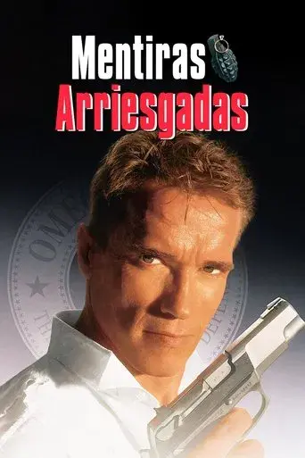 Mentiras arriesgadas - Poster