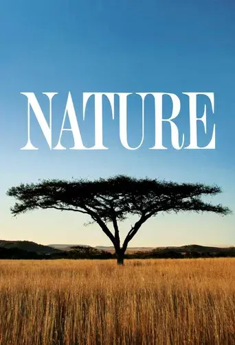 Nature - Poster