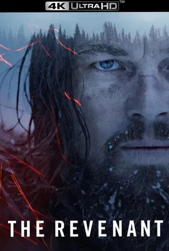 El renacido - Poster