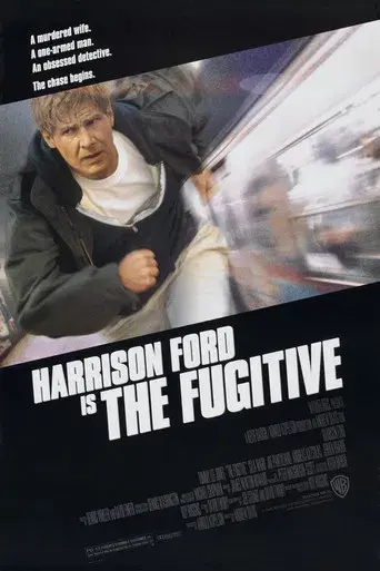 El fugitivo - Poster