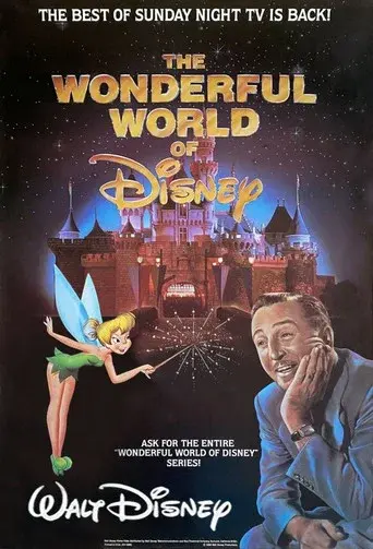 The Wonderful World of Disney - Poster