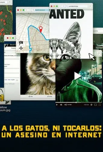 A los gatos, ni tocarlos: Un asesino en Internet - Poster