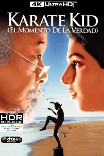 Karate Kid, el momento de la verdad - Poster