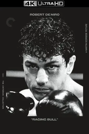 Toro salvaje - Poster