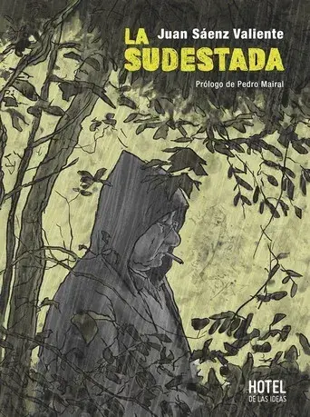 La Sudestada - Poster