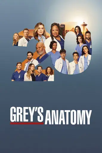 Anatomía de Grey - Poster