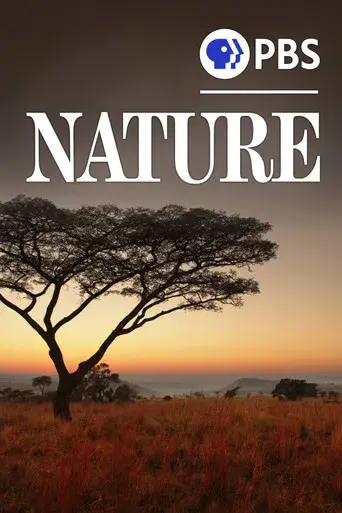 Nature - Poster