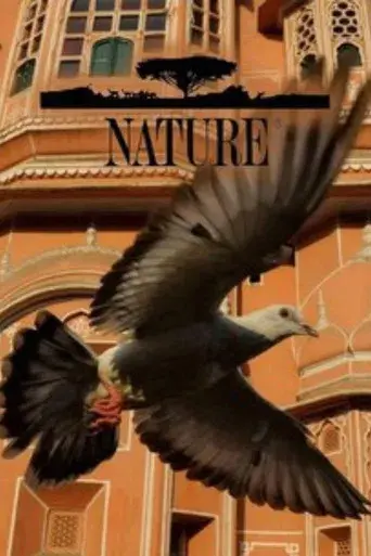 Nature - Poster
