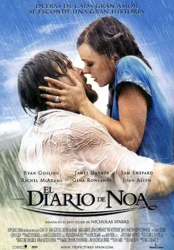 El diario de Noa - Poster