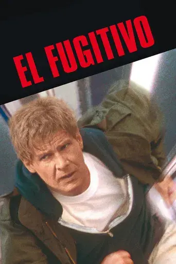 El fugitivo - Poster