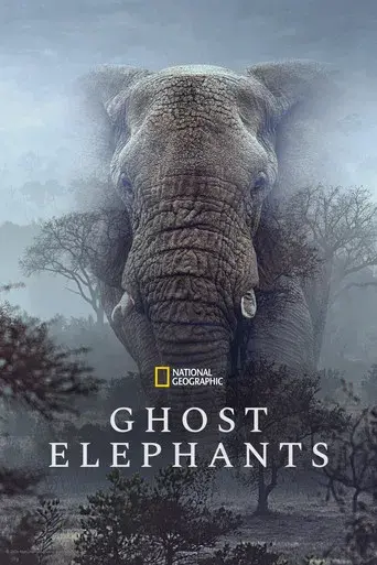 Los elefantes fantasma de Angola poster