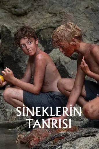 El señor de las moscas - Poster