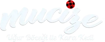 Prodigiosa: Las aventuras de Ladybug - Logo