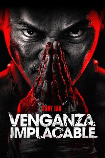 Venganza implacable - Poster