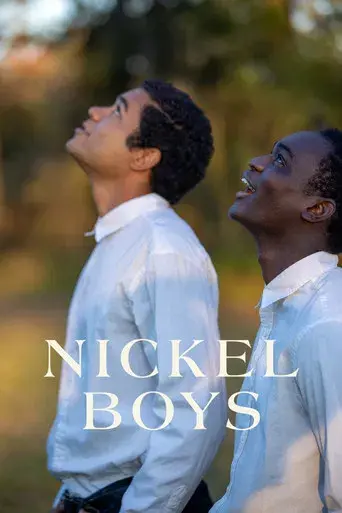 Los chicos de la Nickel - Poster