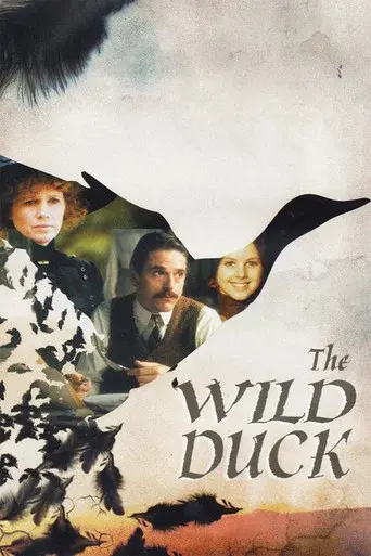 The Wild Duck - Poster
