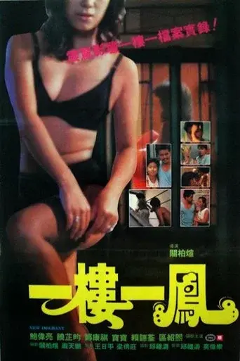 一樓一鳳 poster