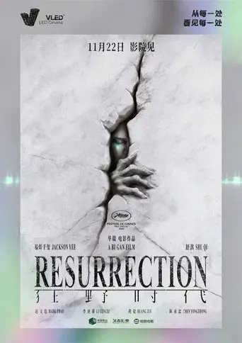 狂野时代 - Poster