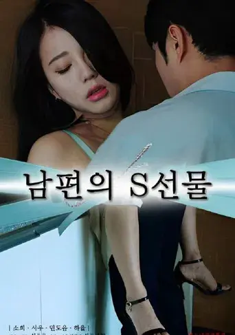 남편의 S선물 poster