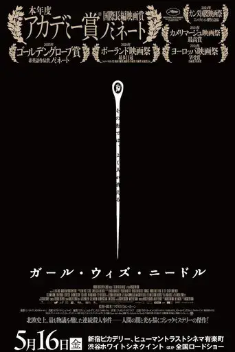 La chica de la aguja - Poster