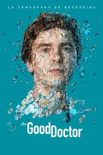 The Good Doctor - Poster