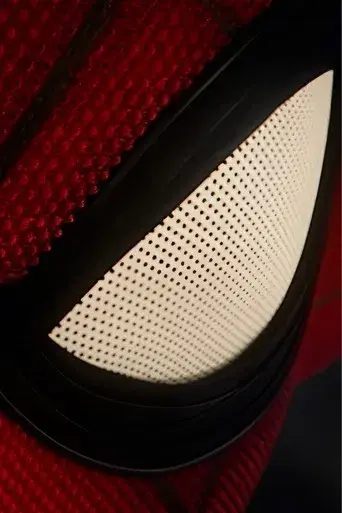 Spider-Man: No Way Home - Poster