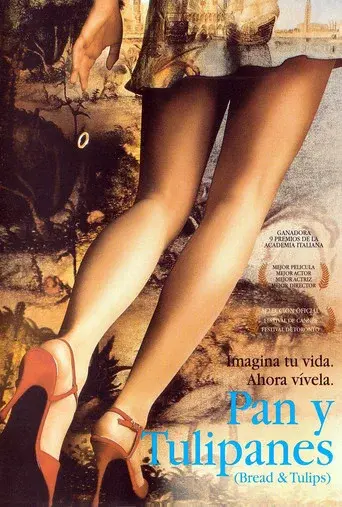 Pan y Tulipanes - Poster