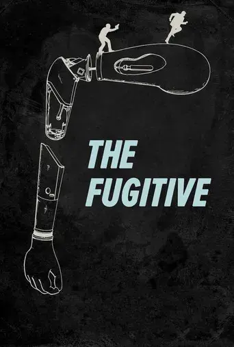 El fugitivo - Poster