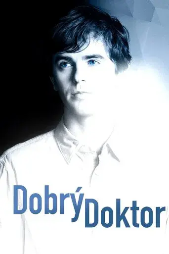 The Good Doctor - Poster