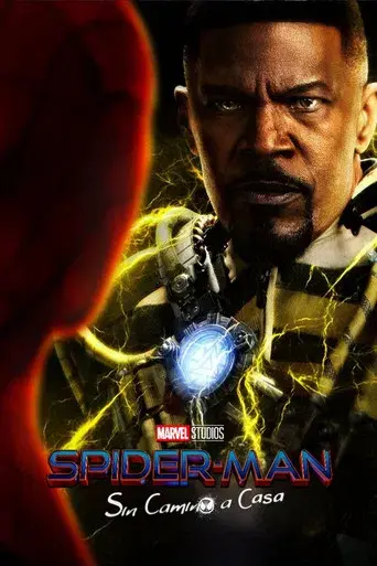 Spider-Man: No Way Home - Poster