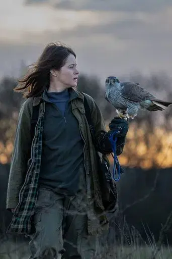 H Is for Hawk - Poster