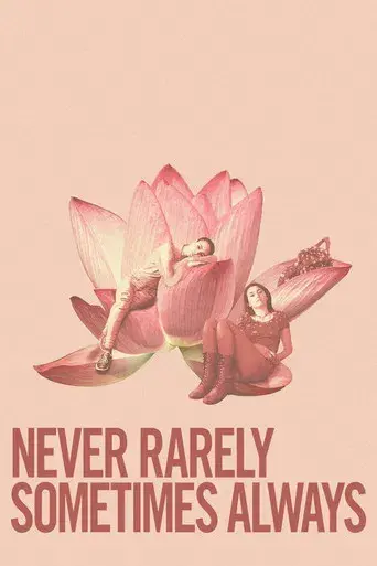 Nunca, casi nunca, a veces, siempre - Poster
