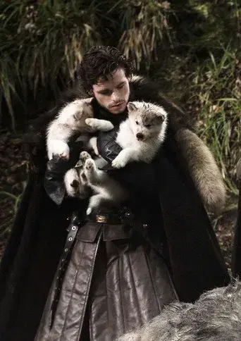 Juego de tronos - Poster