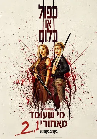 Noche de bodas 2 - Poster