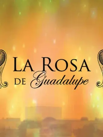 La rosa de Guadalupe - Poster