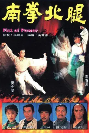 南拳北腿 poster