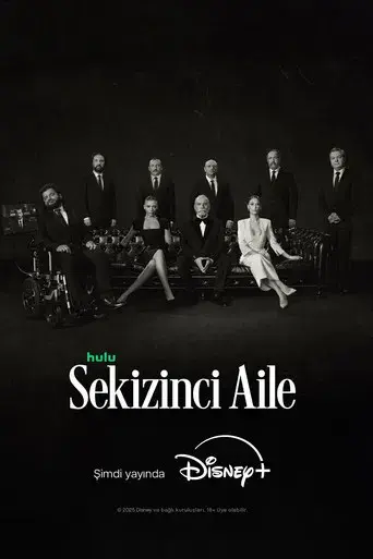 La octava familia - Poster