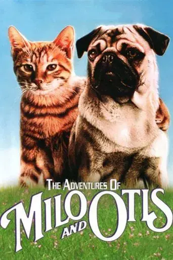 Las aventuras de Chatrán poster